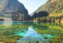 How Long Does a Mushroom Trip Last How Long Does a Mushroom Trip Last