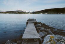 Trip Buddy Trip Buddy