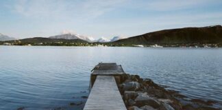 Trip Buddy Trip Buddy