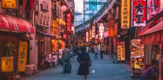 How Much Is a Trip to Japan?