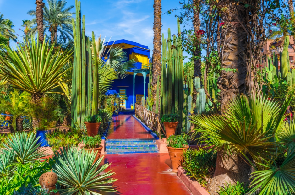 Jardin Majorelle: A Tranquil Oasis