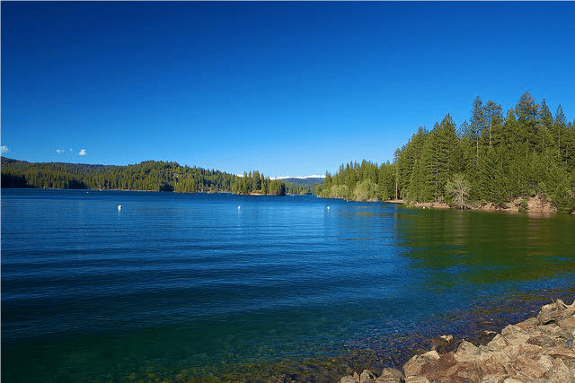 The Best Fishing Place at Jankinson Lake