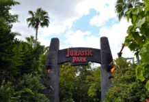 Things to do in Orlando Florida Solo Travel Things to do in Orlando Florida Solo Travel