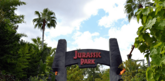 Things to do in Orlando Florida Solo Travel