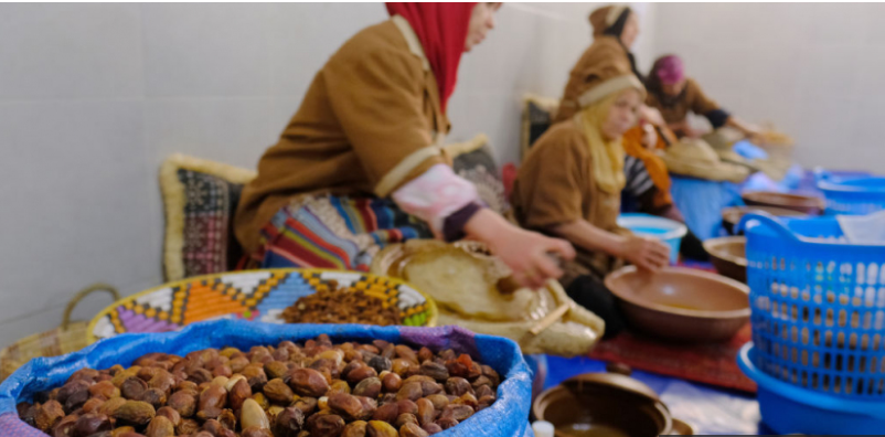  Visit the Argan Cooperatives