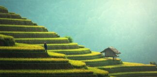 Best Destinations to Travel in June