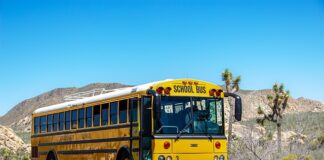 School Trips to Disney World Cost