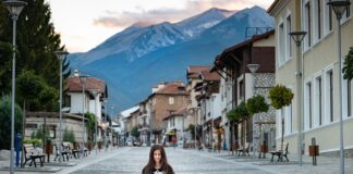 Digital Nomad Entertainment Digital Nomad Entertainment